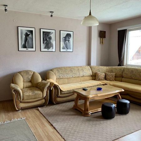 Apartmani Alo Alo Plav Zewnętrze zdjęcie