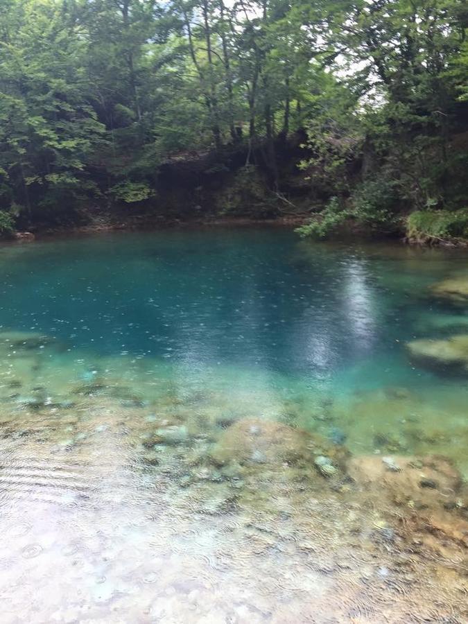 Apartmani Alo Alo Plav Zewnętrze zdjęcie